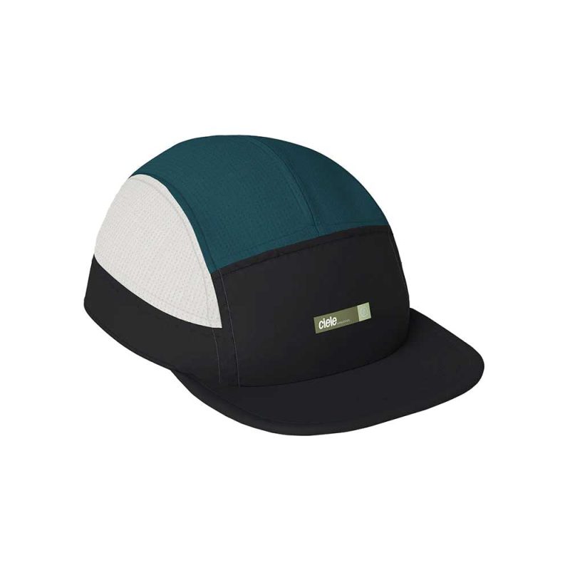 CLALZCH BK001 ALZCap Horizon Horizon 2024 D3 FRNTL